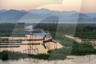 Intha leg rowing fisherman stood with net at Inle Lake gardens backed by mountains, Inle Lake, Shan State, Myanmar.
