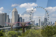 Supertrees of Gardens by the Bay and ferris wheel, Singapore