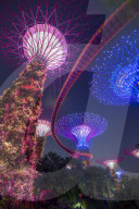 Supertrees of Gardens by the Bay with high level walkway, at night, Singapore