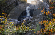 High Force and River Tees framed by autumn leaves, North Pennines AONB, Middleton-in-Teesdale, Teesdale, County Durham, England.