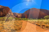 Sand footpath and bush vegetation in winter season at Kuniya walk in Uluru-Kata Tjuta National Park, Northern Territory, Australia. Red Centre in Australian outback a living cultural landscape.