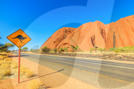 Kangaroo crossing sign warning drive along Ayers Rock in Uluru-Kata Tjuta National Park, Northern Territory, Red Centre, Central Australia. Australian outback landscape in dry season.