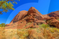 Central Australian landscape with bush vegetation along Lungkata walk connecting Kuniya walk to Mala carpark of Ayers Rock in Uluru-Kata Tjuta National Park, Northern Territory, Red Centre, Australia.