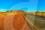 Road leading to Uluru Ayers Rock at vibrant color of sunset. The huge sandstone monolith icon of Australian outback in Uluru-Kata Tjuta National Park. Central Australia, Northern Territory. Copy space