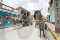 Horses pulling carts along a street in Trinidad, Cuba