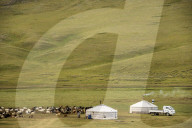 Nomadic herders' ger camp on Steppes grasslands of Mongolia