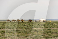 Nomadic herders' ger camp in Gobi Desert, Mongolia