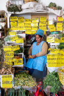 Stallholder surrounded by her herbal products in the main market, Sucre, UNESCO World Heritage Site, Bolivia