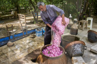 Iran, Isfahan province, Kashan city, distillation of rose for the fabrication of the rose water