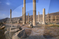 Iran, Fars Province, Persepolis, World Heritage of the UNESCO, pillars of the Apadane palace