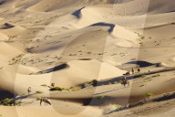 China, Inner Mongolia, Badain Jaran desert, Gobi desert, bactriane camels
