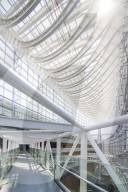 Asia, Japan, Tokyo, spring cherry blossoms, Tokyo International Forum