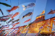 Asia, Japan, Tokyo, Roppongi, Tokyo Tower, Koi nobori kites
