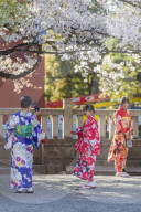 Asia, Japan, Tokyo, Asakusa, Sensoji temple, in kimono