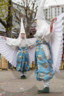 Asia, Japan, Tokyo, Asakusa, Sensoji temple, Hakucho White Swan festival