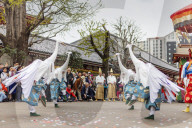 Asia, Japan, Tokyo, Asakusa, Sensoji temple, Hakucho White Swan festival