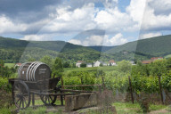 Pfalz wine area, ancient Barrel cart, Germany, Europe, EU