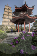 Giant Wild Goose Pagoda or Big Wild Goose Pagoda in Xi'an, Shaanxi Province, China, Asia