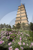 Giant Wild Goose Pagoda or Big Wild Goose Pagoda in Xi'an, Shaanxi Province, China, Asia