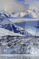 Harvard Clacier in College Fjord, Southeast Alaska, USA