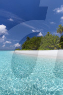 Beautiful sandy beach, lagoon and palmtress, maldives