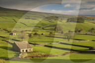 Stone barns and dry stone walls in beautiful Wensleydale in the Yorkshire Dales National Park, Yorkshire, England. Autumn (October) 2018.