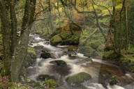Fast flowing woodland stream, Dartmoor National Park, Devon, England. Autumn (November) 2018.