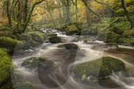 Fast flowing woodland stream in autumn, River Plym, Dartmoor National Park, Devon, England. Autumn (November) 2018.