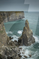 Sea Stack on the Pembrokeshire Coast, Wales, UK. Spring (March) 2019.