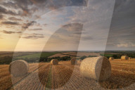 Straw Bales at sunset in rural Devon, Livaton, Devon, England. Summer (July) 2019.