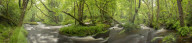 River Teign in full spate, Dartmoor, Devon, England. Spring (June) 2017.