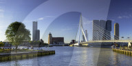 Erasmus Bridge (Erasmusbrug) and skyline, Rotterdam, Zuid Holland, Netherlands
