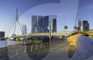 Erasmus Bridge (Erasmusbrug), Rotterdam, Zuid Holland, Netherlands