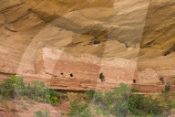 16 Room House Anasazi Ruins, Ancestral Pueblo, Navajo Reservation, near Bluff, Utah, USA