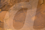 Big Crane Pictograph, Made by Ancestral Puebloans, Approx 900-1000 years old, Bear's Ears National Monument, Utah, USA
