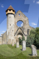 Ruins, Cistercian Monastery, Founded 1202, Carta, Sibiu County, Transylvania Region, Romania