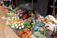 Weekly vegetable market, Koraput, Odisha