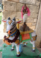 Nandi bull dressed with deity for temple ceremony, Gangaikonda Cholapuram temple to Shiva, Ariyalur district, Tamil Nadu