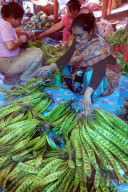 Woman selling Myanmar Tree Beans in Ima women‚Äôs market, Imphal, Manipur