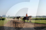 Race horses being exercised at the famous Royal Calcutta Turf Club, built in 1820, Kolkata, West Bengal