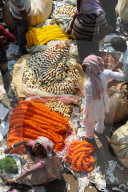 Early morning trading of marigold garland ropes, Malik Ghat flower market, Kolkata, West Bengal