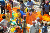Early morning trading of marigold garland ropes, Malik Ghat flower market, Kolkata, West Bengal