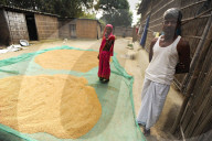 Husband and wife outside their bamboo house in a river village with their precious rice crop drying on a plastic sheet, Assam