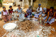 Group of women peeling cassava on the outskirts of LomÃ©, Togo.