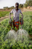 Woman watering a vegetable garden in Loumbila, Burkina Faso.