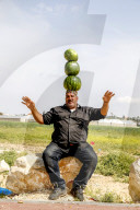 Palestinian selling watermelons at Al-Jalameh checkpoint (Israel-Palestine border).
