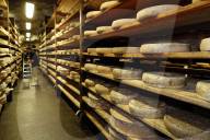 Artisanal Beaufort cheese in refining in a traditional cellar. Rognaix. France.