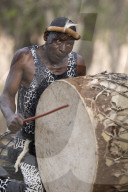 African traditional djembe drummer. Kruger National Park. South-Africa.