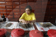 Woman working in a traditional chinese pharmacy. Ha Tien. Vietnam.