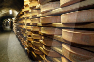 Artisanal Beaufort cheese in refining in a traditional cellar. Rognaix. France.